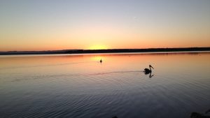 Bream-Beach-Sunset